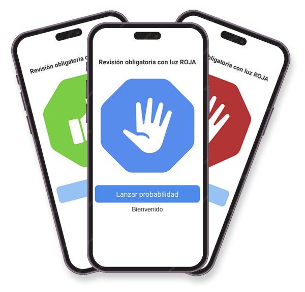 App Revision Aleatoria